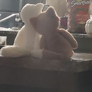 Meet your Posher, Wendy